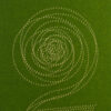Cette photo représente un zoom de la carte de vœux modèle Simili, de la collection Intaglio 2022, sur une carte Vert Meadow, avec le détail de la gravure Or.