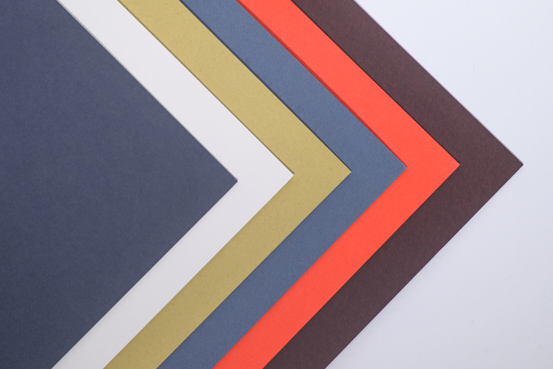 2025 Intaglio vœux photos cartes w 800