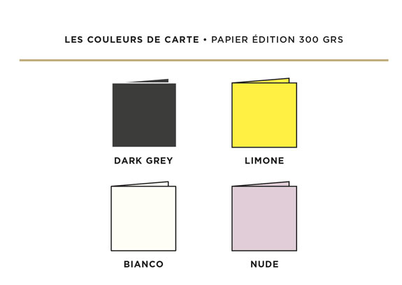 Cette image présente 4 pictogrammes correspondant au choix des 4 couleurs de la collection des cartes de vœux 2024.